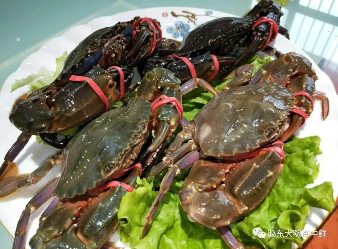 尼古拉·约基奇称以前训练经常会哭：kycom(图2)