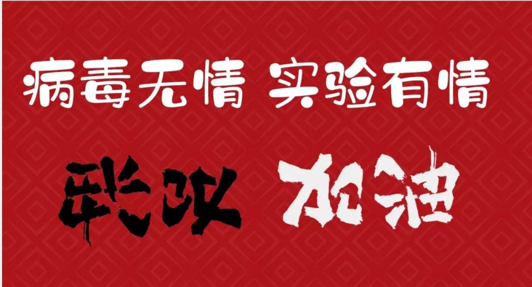 字母哥多次遭到塔克的无情封盖 最终雄鹿击败火箭【kycom】(图1) 字母哥多次遭到塔克的无情封盖 最终雄鹿击败火箭【kycom】(图1)