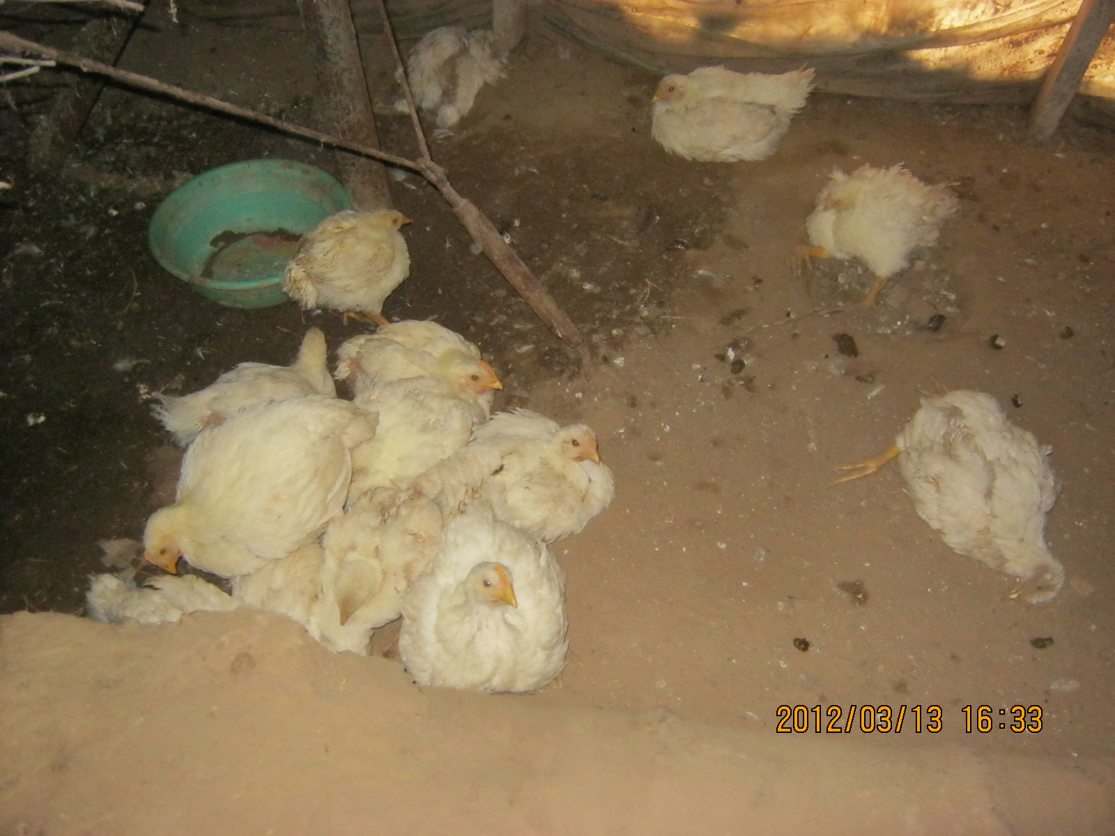 不外传的美食做法,好吃还不贵抢着吃,每次都多吃两碗饭!-kycom(图4) 不外传的美食做法,好吃还不贵抢着吃,每次都多吃两碗饭!-kycom(图4)