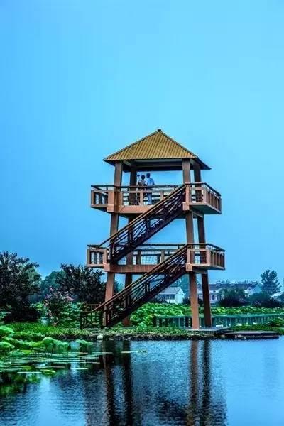 “kycom”达拉斯独行侠签约马场雄大(图2)