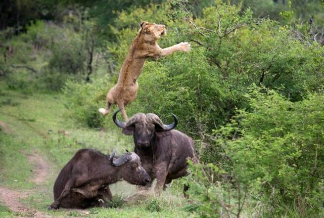 太意外了!英格末节表现突出 却在关键时刻掉链子【kycom】(图4) 太意外了!英格末节表现突出 却在关键时刻掉链子【kycom】(图4)