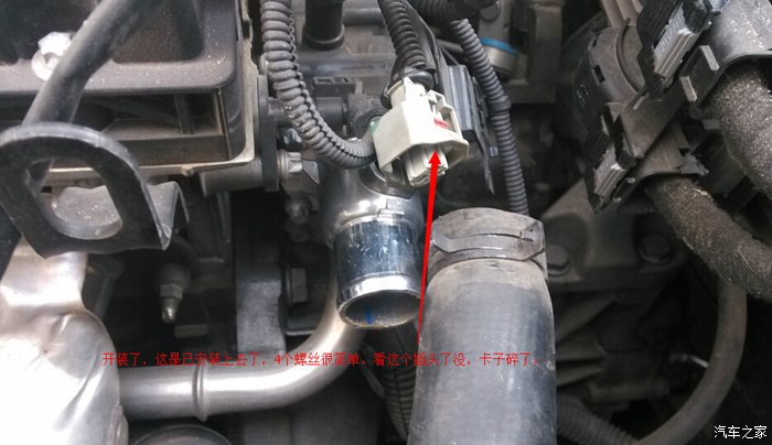 “kycom”肉松青团的做法_肉松青团怎么做_琪_feXjZ8E2的菜谱(图3) “kycom”肉松青团的做法_肉松青团怎么做_琪_feXjZ8E2的菜谱(图3)