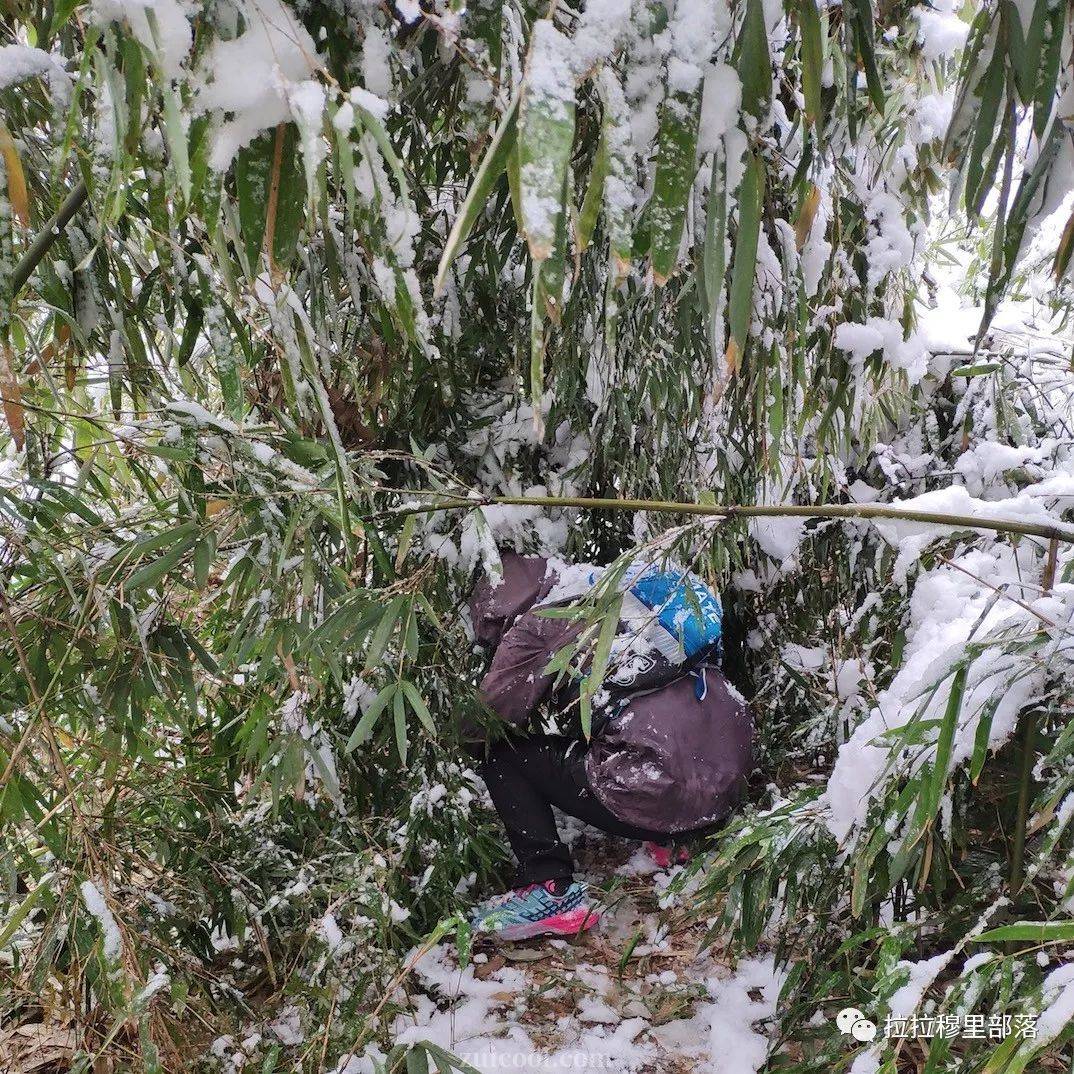 kycom-太阳愿用杰克逊+2首轮签换伦纳德 马刺会接受吗(图3)