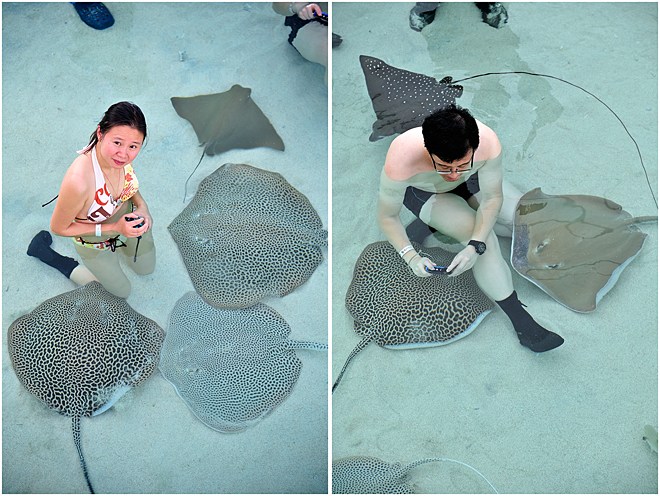 缺3巨头勇士两老炮28+11救场 少侠苏醒半场18分|ky.com(图1)