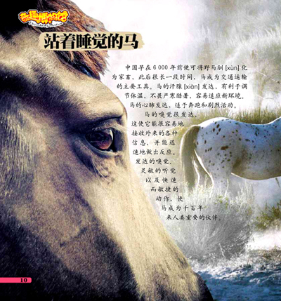 哈登将不代表美国出征世界杯“ky.com”(图4)