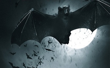 玉米葡萄干发糕的做法_玉米葡萄干发糕怎么做_曲曲2的菜谱:ky com(图1) 玉米葡萄干发糕的做法_玉米葡萄干发糕怎么做_曲曲2的菜谱:ky com(图1)