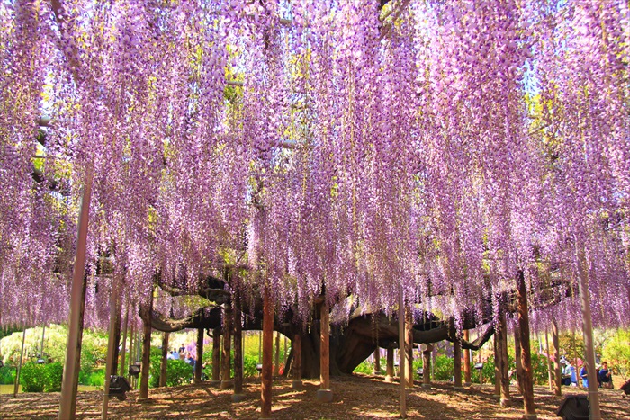 ky.com-9日德甲推荐：莱比锡红牛VS勒沃库森(图2)