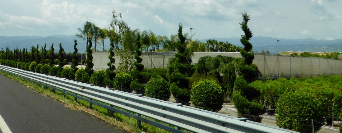 ky.com_麦科勒姆42分独木难支 灰熊替补发威力擒开辟者(图3) ky.com_麦科勒姆42分独木难支 灰熊替补发威力擒开辟者(图3)