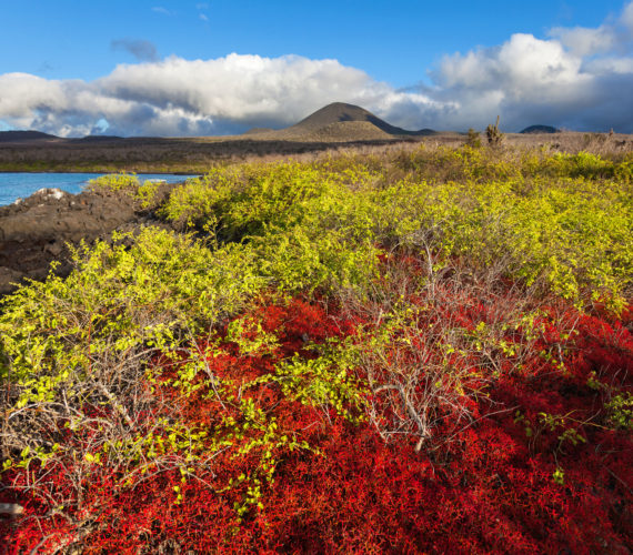 ky com|约什·哈特不满自己的防守表现(图4) ky com|约什·哈特不满自己的防守表现(图4)