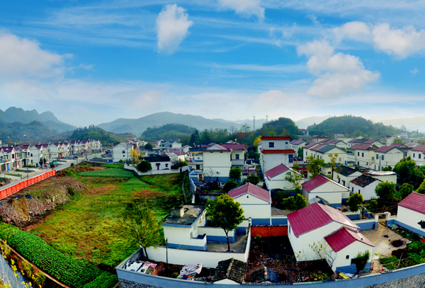 “ky com”乔·约翰逊今日前往活塞试训(图2)