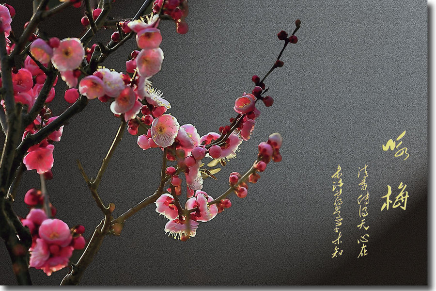 
官方回复：太原到古交的公交车什么时候开？“ky com”(图3)