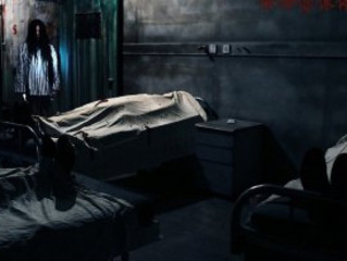 ky com-
长见识了 这样做【南瓜干】以后再也不拿南瓜去喂猪了 太浪费了(图1)