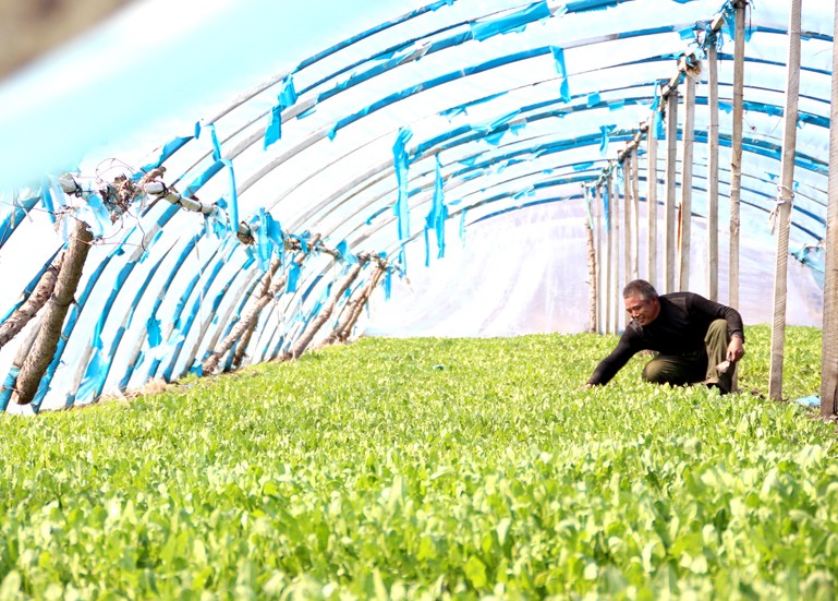 【ky.com】尤文图斯追逐蒂亚戈最新消息_蒂亚戈技术特点(图4)