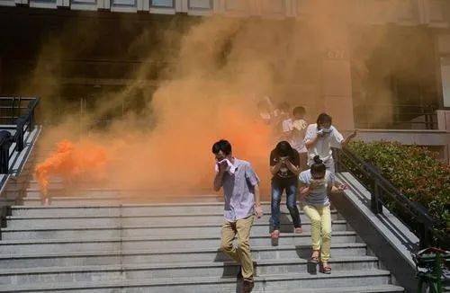 
揭秘：19997只小鸡离奇死亡之谜！_ky.com(图6)