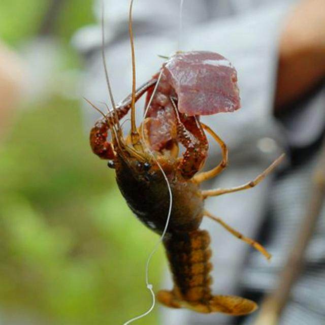 “ky com”德国教练证实鲁迪鼻骨骨折 或将戴护具征战韩国(图1)