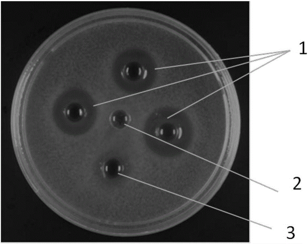 ky com|香卤鸭爪的做法_香卤鸭爪怎么做_铕辰的小小厨房的菜谱(图2)