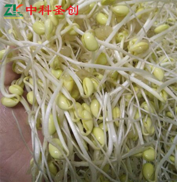 kycom：猫耳朵的做法_猫耳朵怎么做_Heartつs丶的菜谱(图2)