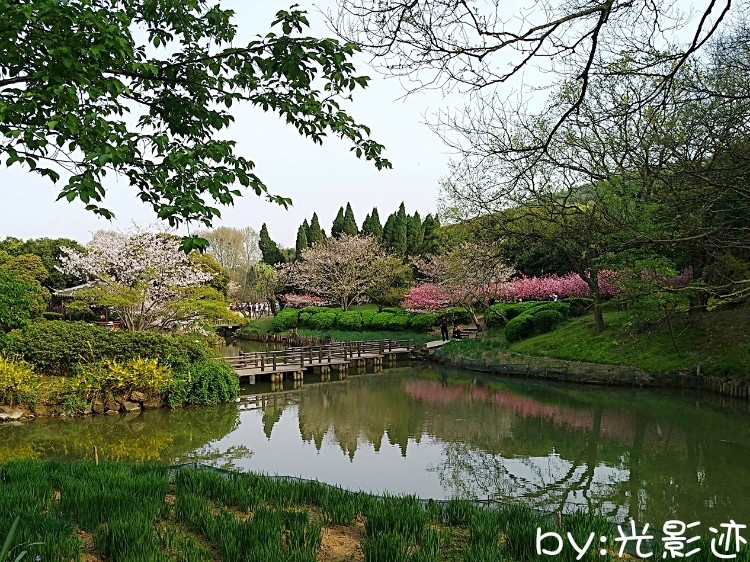 比卢普斯看好新赛季活塞再进一步‘kycom’(图1)