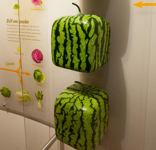 ‘kycom’火箭想继续打响如意算盘(图1)