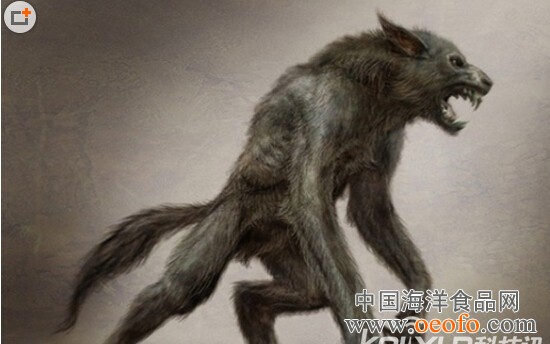 kycom-虾饺皇的做法_虾饺皇怎么做_wonder风的菜谱(图3)